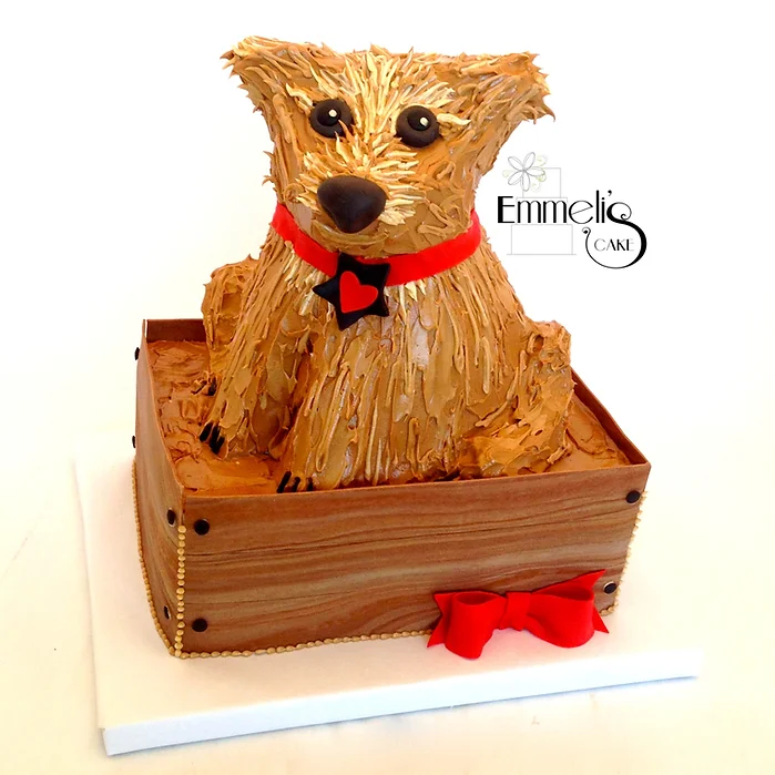 Terrier in Wooden Box